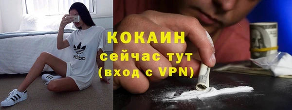 индика Каменка