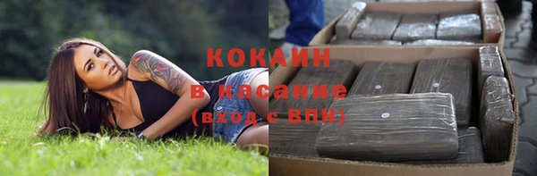 mix Инта