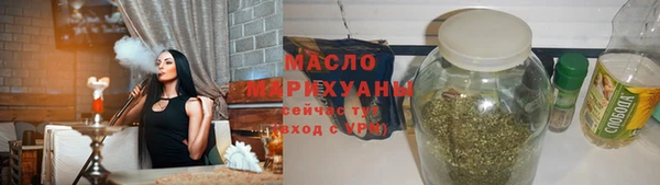 индика Каменка