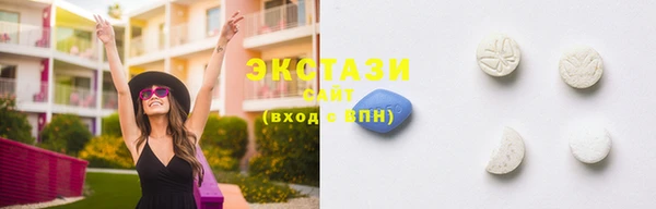 индика Каменка