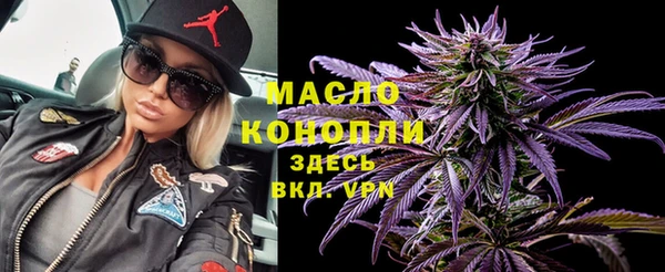 mix Инта