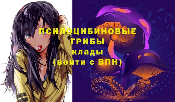 спиды Каменск-Шахтинский