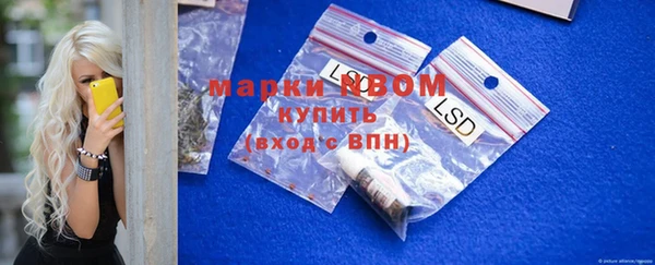 индика Каменка