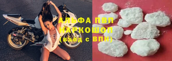 индика Каменка