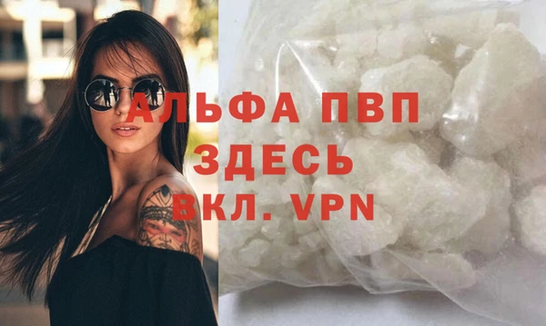 индика Каменка