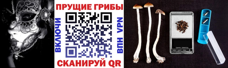 Купить  Верхнеуральск  Галлюциногенные грибы MAGIC MUSHROOMS 