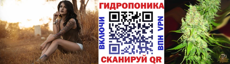 Шишки марихуана MAZAR Купить где Верхнеуральск